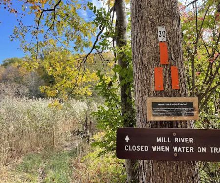 Leon Levy Preserve