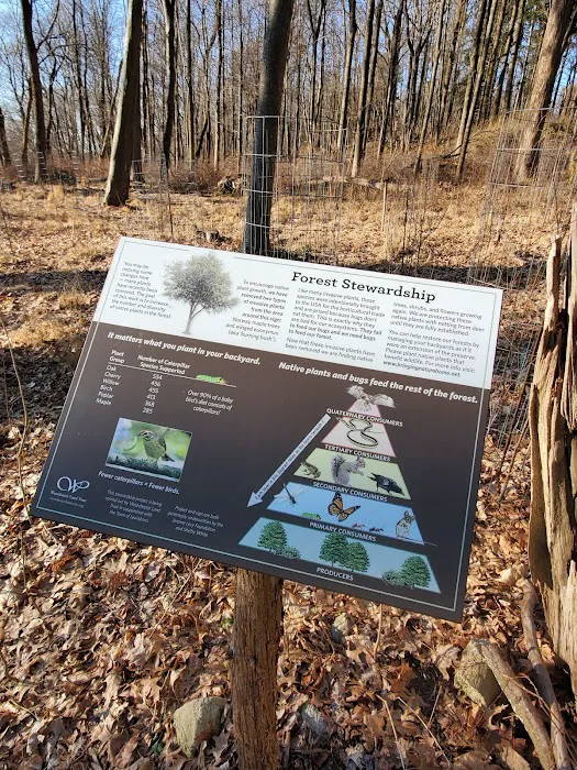Leon Levy Preserve Picture 9