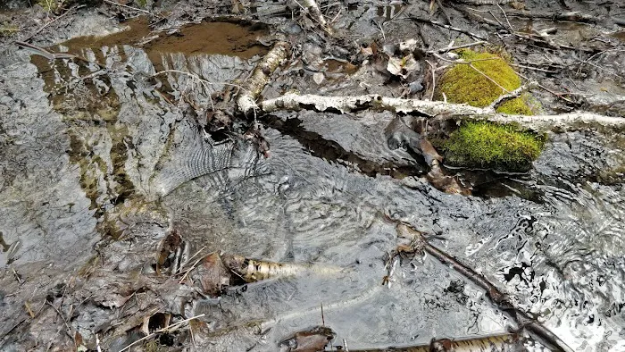 Leon Levy Preserve Picture 4
