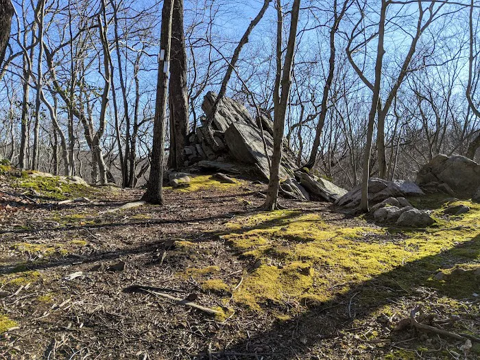 Leon Levy Preserve Picture 10