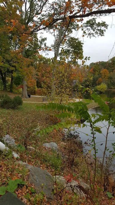 Mill Pond Park Picture 2