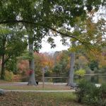 Mill Pond Park