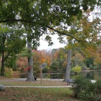 Mill Pond Park ico