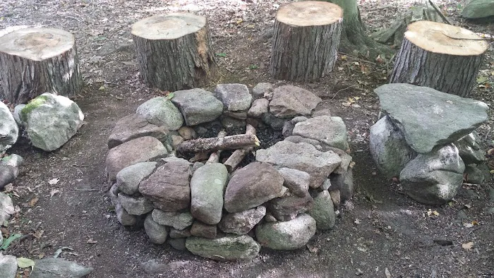 Silvermine-Fowler Preserve (NCLT) Picture 4