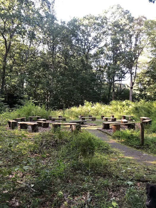 Silvermine-Fowler Preserve (NCLT) Picture 6