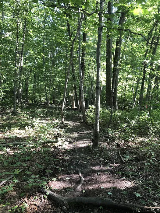Silvermine-Fowler Preserve (NCLT) Picture 8