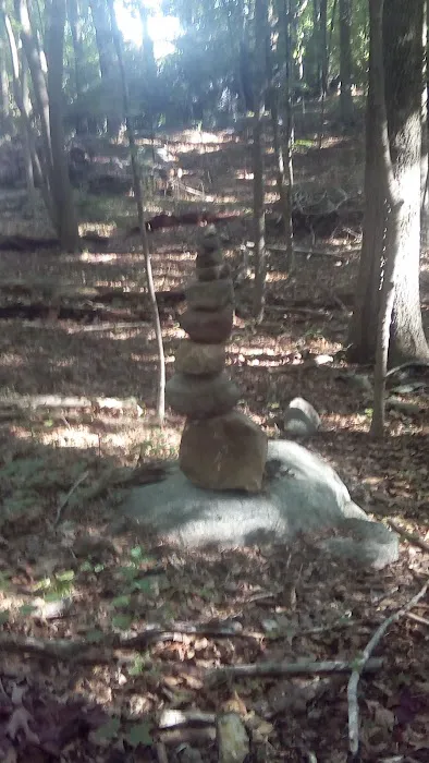 Silvermine-Fowler Preserve (NCLT) Picture 2