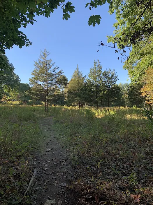 Silvermine-Fowler Preserve (NCLT) Picture 3
