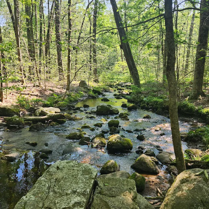 Quarry Head Park Picture 10