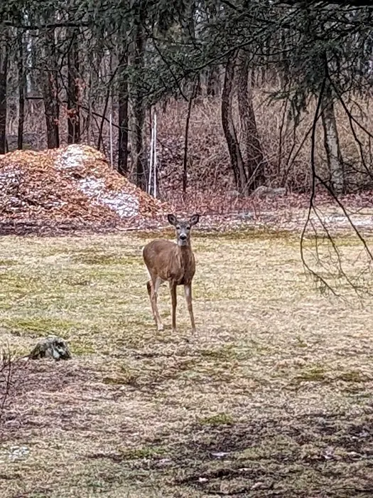 Quarry Head Park Picture 8
