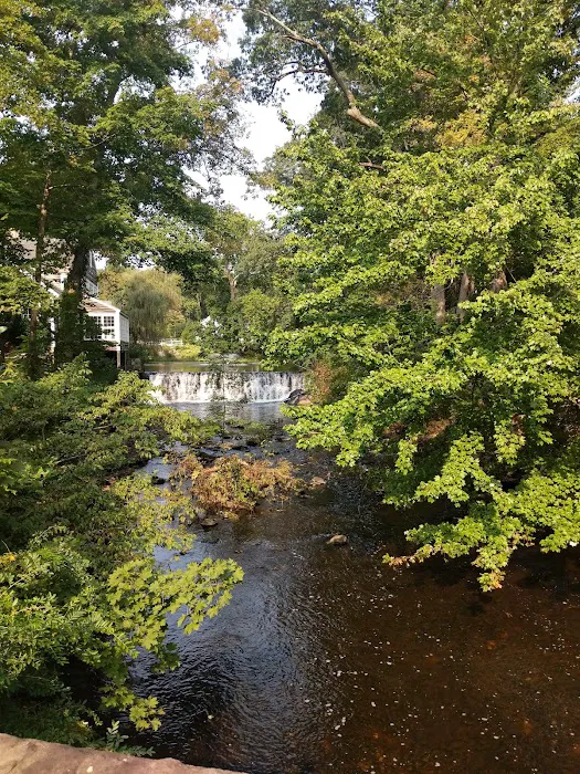 GrayBarns on the Silvermine River Picture 10