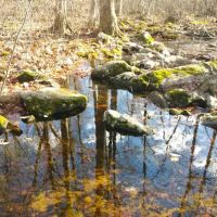 Leonard J. Bradley Park ico