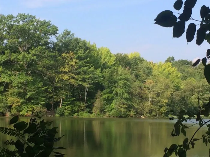 Dunlap Woods (Darien Land Trust) Picture 9