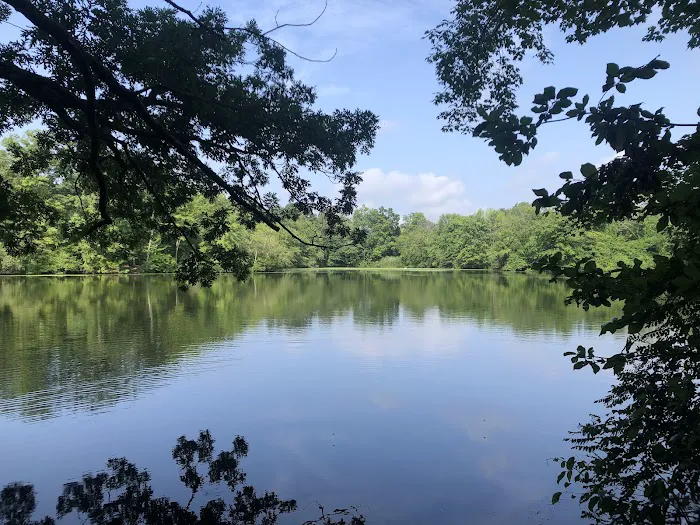 Dunlap Woods (Darien Land Trust) Picture 3