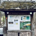 Dunlap Woods (Darien Land Trust)