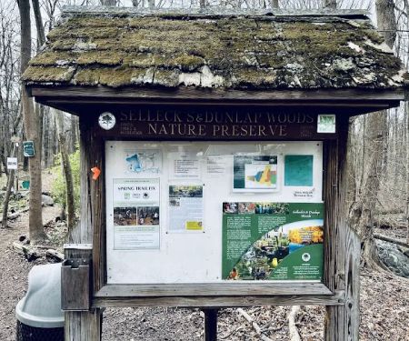 Dunlap Woods (Darien Land Trust)