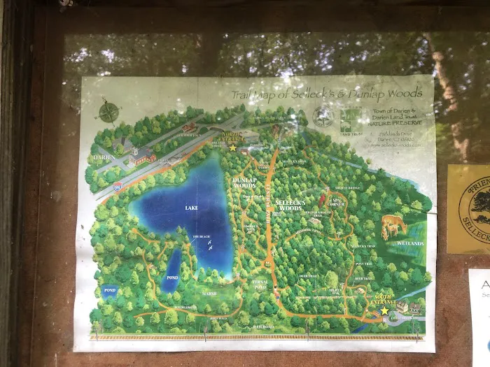 Dunlap Woods (Darien Land Trust) Picture 2