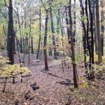 seleekwood park