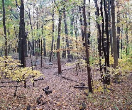 seleekwood park