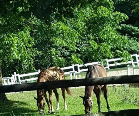 Getner Farms