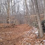Frederick P. Rose Preserve