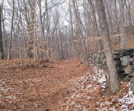 Frederick P. Rose Preserve