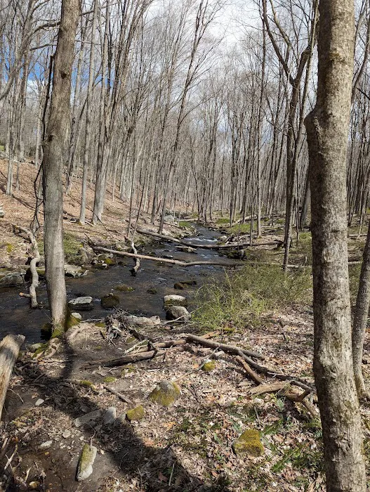 Brownell Preserve Picture 3