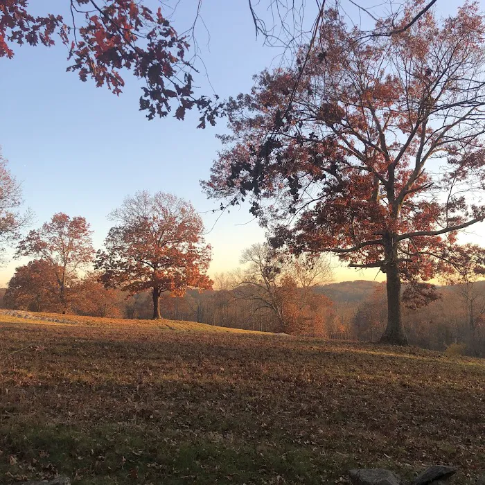 Brownell Preserve Picture 5