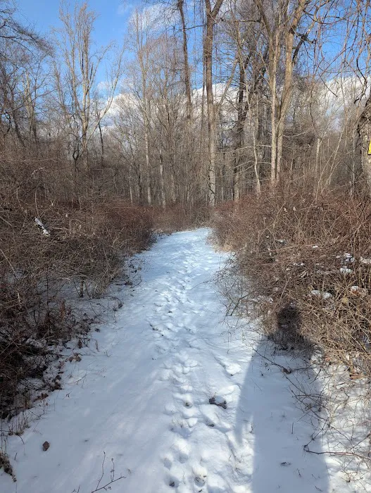 Brownell Preserve Picture 1