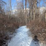 Brownell Preserve