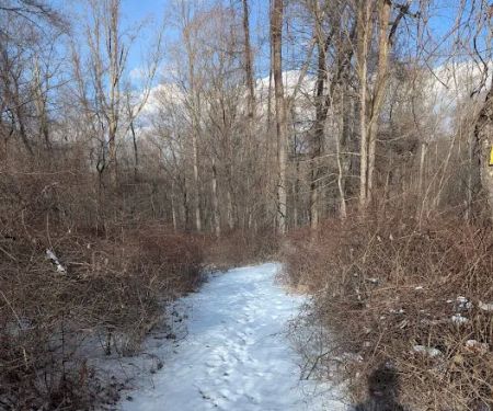 Brownell Preserve
