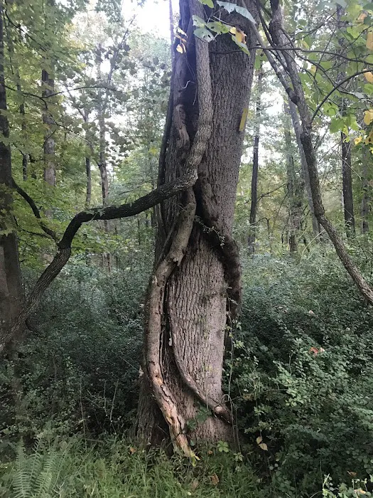 Brownell Preserve Picture 9