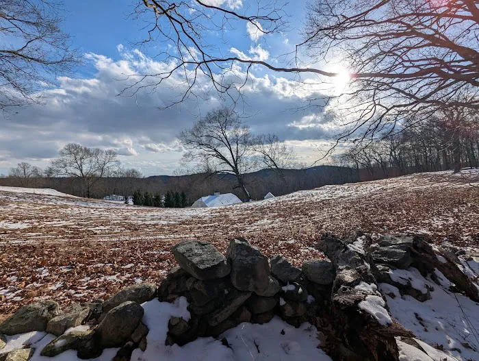 Brownell Preserve Picture 2