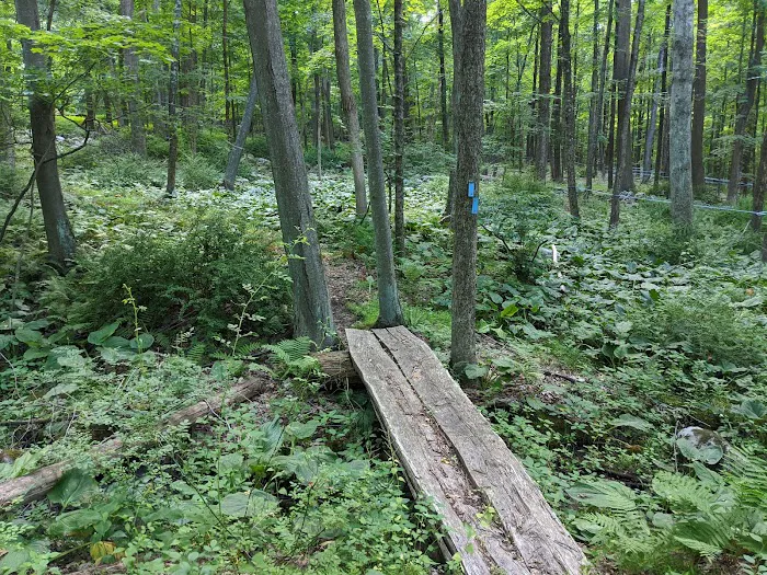 Brownell Preserve Picture 4