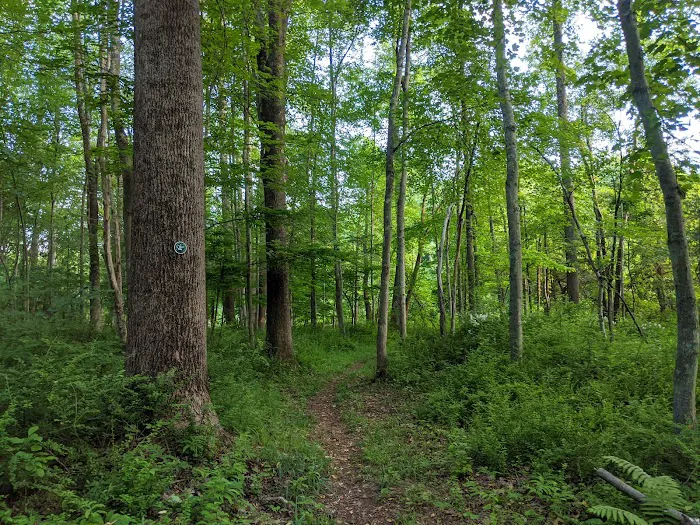 Rockshelter Preserve Picture 2