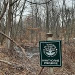 Hawthorne Preserve