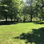 Purdy's Field