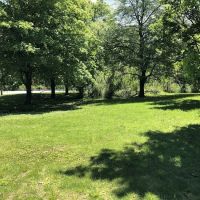 Purdy's Field ico