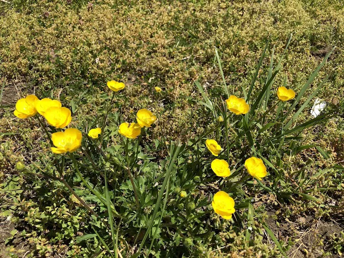 Purdy's Field Picture 3
