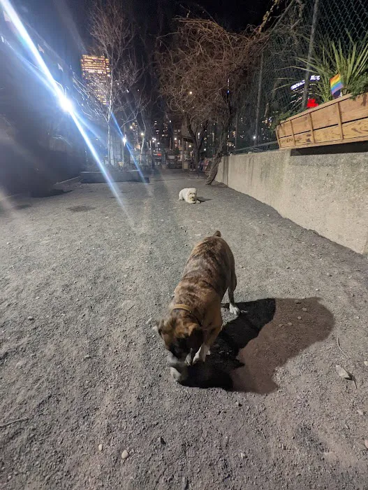 Astro's Community Dog Run Picture 10