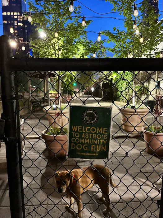Astro's Community Dog Run Picture 4