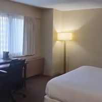Hotel New York Manhattan Times Square Sleep Economy ico