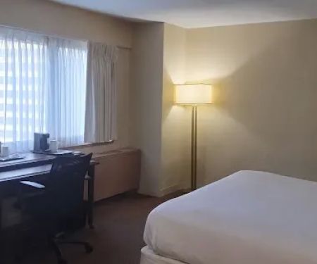 Hotel New York Manhattan Times Square Sleep Economy