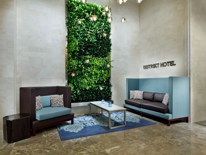 Distrikt Hotel New York City, Tapestry Collection by Hilton Picture 4