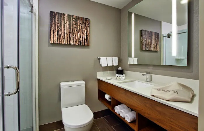 Hilton Garden Inn New York/Midtown Park Ave Picture 5