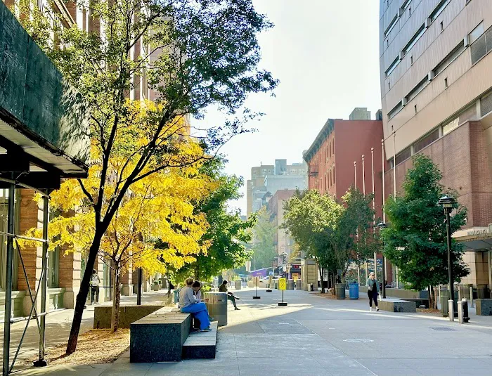 Clivner=Field Plaza Picture 6