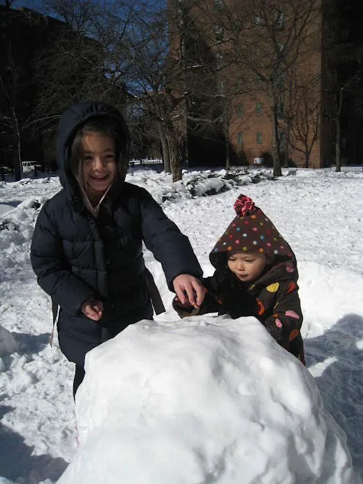 Peter Cooper Village Lawn Picture 4