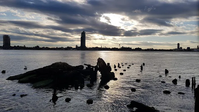 Stuyvesant Cove Park Picture 2