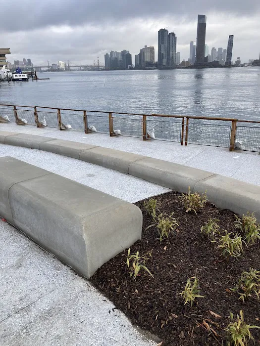 Stuyvesant Cove Park Picture 1