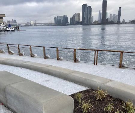 Stuyvesant Cove Park